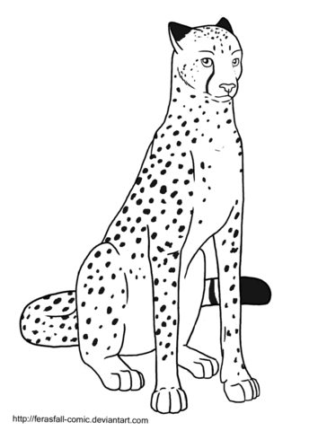 Sitting Cheetah Coloring Page